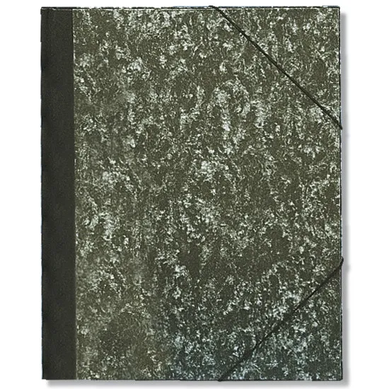 Esselte Carpeta de dibujo A4 + gris