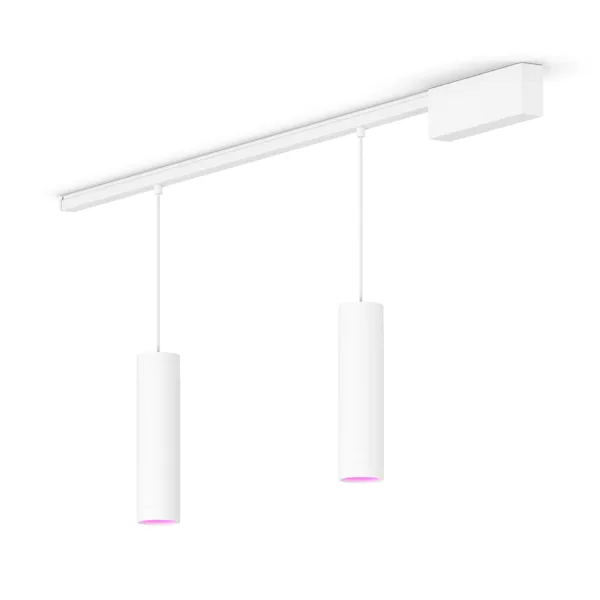 Philips Perifo Kit Base De Techo Recto (2 Suspendidas)