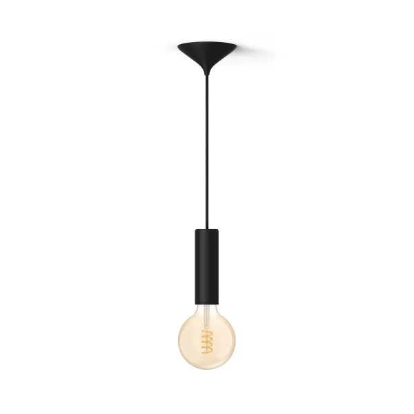 Philips Pack: Cable Negro Para Bombilla De Filamento (m) + Bombilla De Filamento G125 (globo), Color Blanco Cálido A Frío