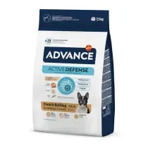 Advance French Bulldog