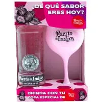 Ginebra Strawery PUERTO DE INDIAS, botella 70 cl + Copa