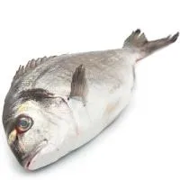 Dorada de crianza DEL DELTA, pieza aprox. 500 g