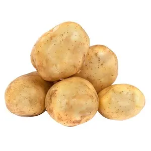 Patata malla de 10 kg.