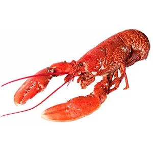 Bogavante cocido pieza.