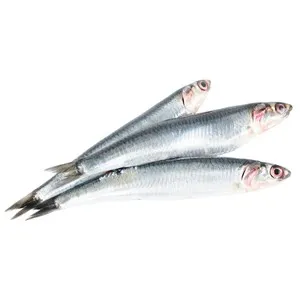 Anchoa mostrador.