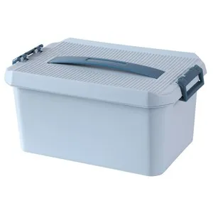 Caja de plástico con tapa, 30,5 x 20 x 15 cm, surtido de colores azul y rosa, ALCAMPO.
