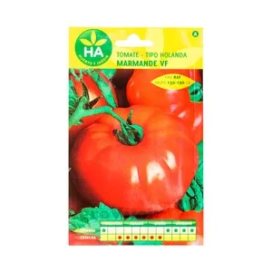 Tomate marmande vr tipo raf