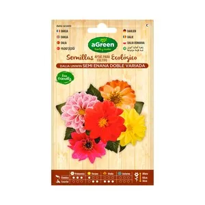 Semillas de dalia semi enana doble variada aptas para cultivo ecológico, AGREEN HUERTO Y JARDÍN.