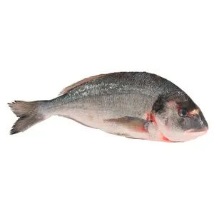 Dorada mostrador.-ESPALDA-CON-ESPINAS