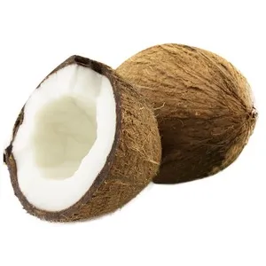 Coco 1 ud.