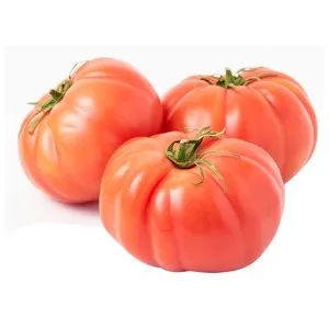 Tomate rosado a granel.