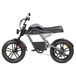 Bicicleta eléctrica E-Bike YOUIN Las Vegas, 250W, ruedas 20"", autonomía 40Km.