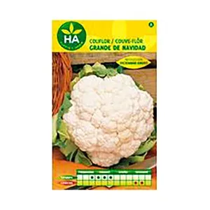 Semillas coliflor grande navidad diciembre-enero, HA HUERTO Y JARDÍN.
