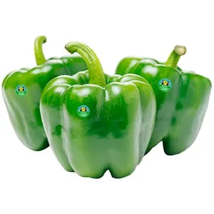 ALCAMPO CULTIVAMOS LO BUENO ECOLÓGICO Pimiento California verde bio a granel.