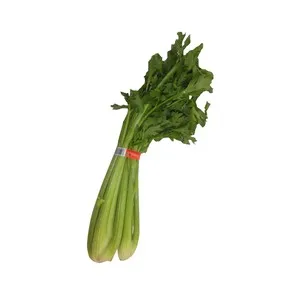 Apio verde manojo