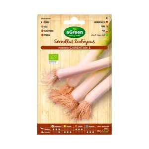 Semillas ecológicas para sembrar puerro grueso de la variedad Caretan 3 HA-HUERTO Y JARDÍN 1.3 gramos.