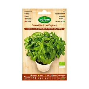 Semillas ecológicas para plantar albahaca de la variedad hoja grande HA-HUERTO Y JARDÍN 1.5 gramos.