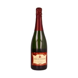 SIERRA DE GUADALUPE Cava brut botella de 75 cl.