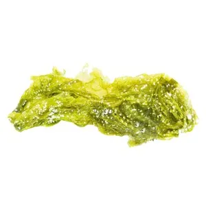 ALCAMPO CULTIVAMOS LO BUENO Alga Lechuga de Mar fresca en sal Bandeja