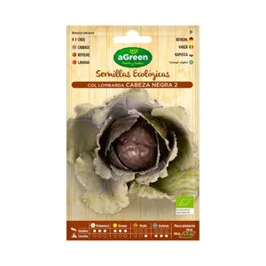 Semilla ecológica de col lombarda, SEMILLAS.