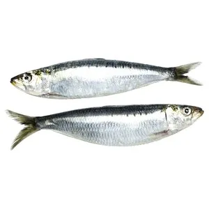 Sardina elaborada