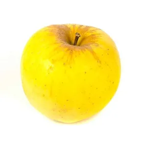 Poma groga de muntanya km0 1 u