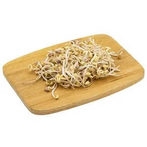 BROT D'OR Brots germinats de mongeta Mungo ecològica en safata de 50 g