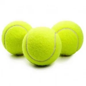 SANDIMAS Joguina pilota de tennis L per gossos