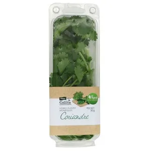 LA COLLITA Coriandre Km0