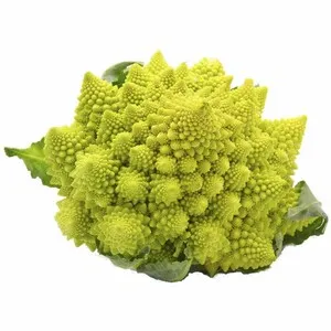 Bròquil Romanesco Km0 1 u.