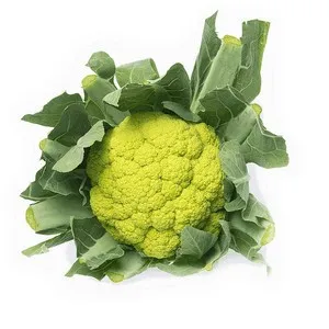 Bròquil verd ecològic Km0 1 u.