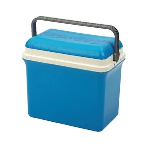 ALCO Nevera rígida Spring 32 L