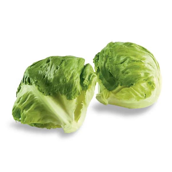 Lechuga iceberg 1 unidad 2