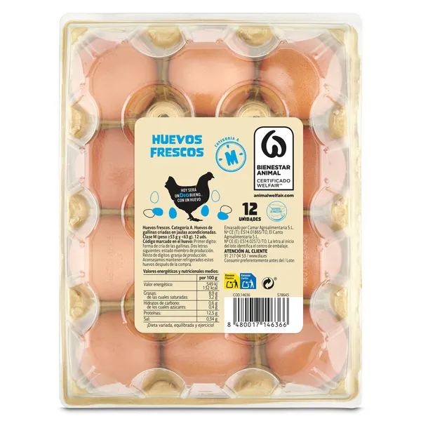 Huevos frescos categoría A clase M Dia bandeja 12 unidades 2