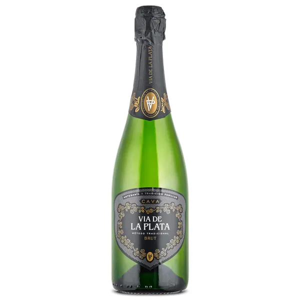 Cava brut Vía de la Plata botella 75 cl