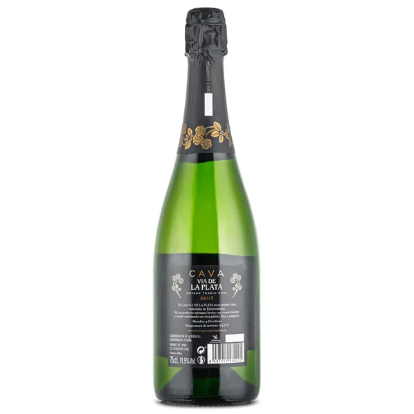 Cava brut Vía de la Plata botella 75 cl 2