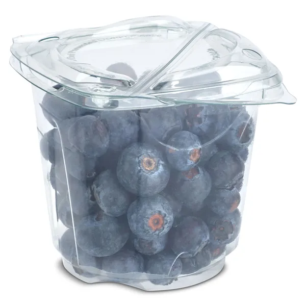 Arándanos vaso 170 g 4