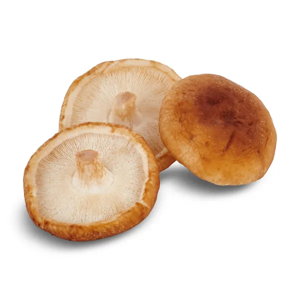 Seta Shiitake bandeja 150 g 2
