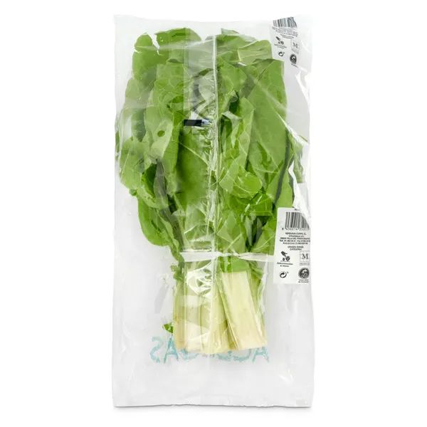 Acelga bolsa 750 g 3