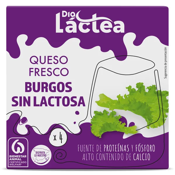 Queso fresco de Burgos sin lactosa Dia Láctea 4 x 62.5 g 2