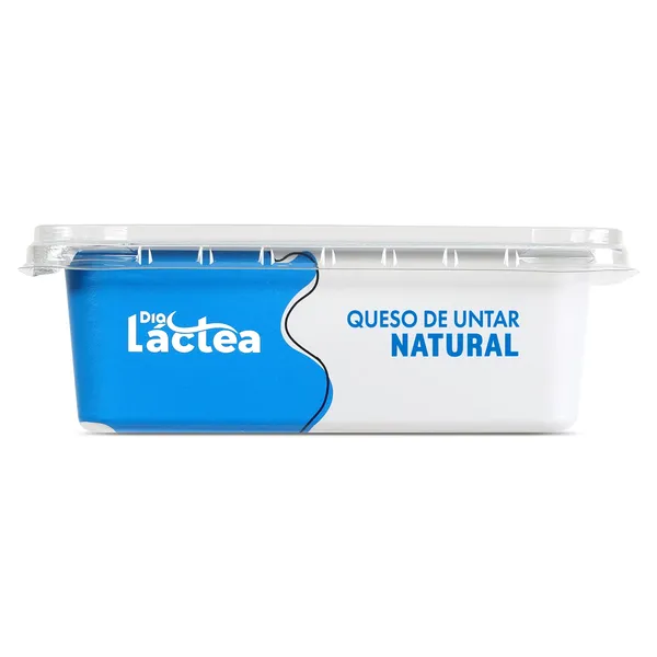 Queso de untar natural Dia Láctea 250 g 2