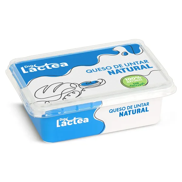 Queso de untar natural Dia Láctea 250 g 4