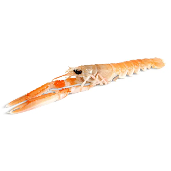 Cigalas crudas Dia Mari Marinera bandeja 500 g 3