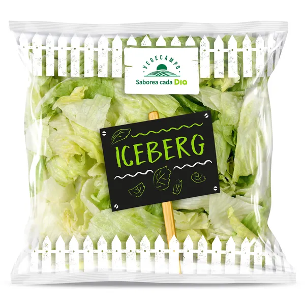 Lechuga iceberg lavada Dia Vegecampo 200 g 2