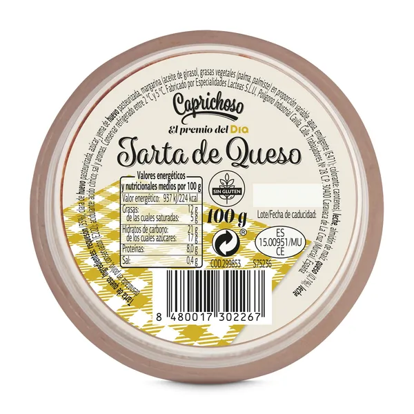 Tarta de queso Caprichoso Dia tarrina 100 g 2