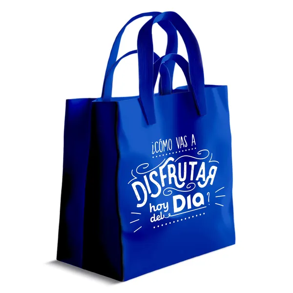 Bolsa de rafia 4 asas Dia 1 unidad 3