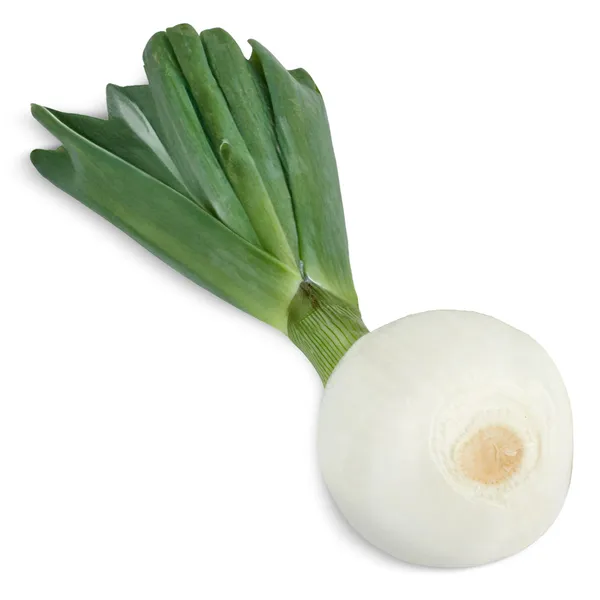 Cebolla tierna unidad 2