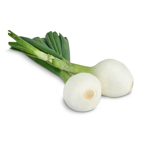 Cebolla tierna unidad 3