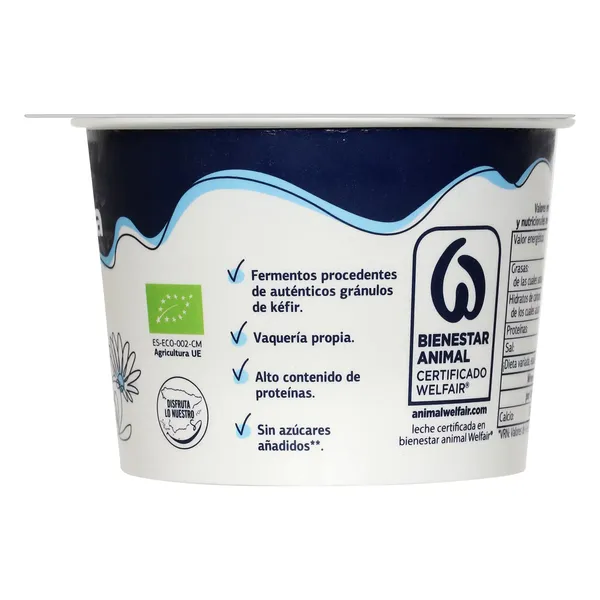 Kéfir cremoso suave Dia Láctea 250 g 7
