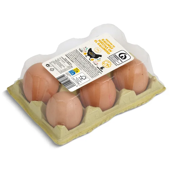Huevos extragrandes L/XL de gallinas criadas en suelo Dia 6 unidades 2